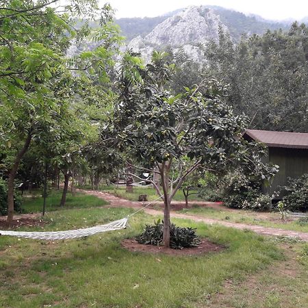 Kibala Hotel Чирали Екстер'єр фото