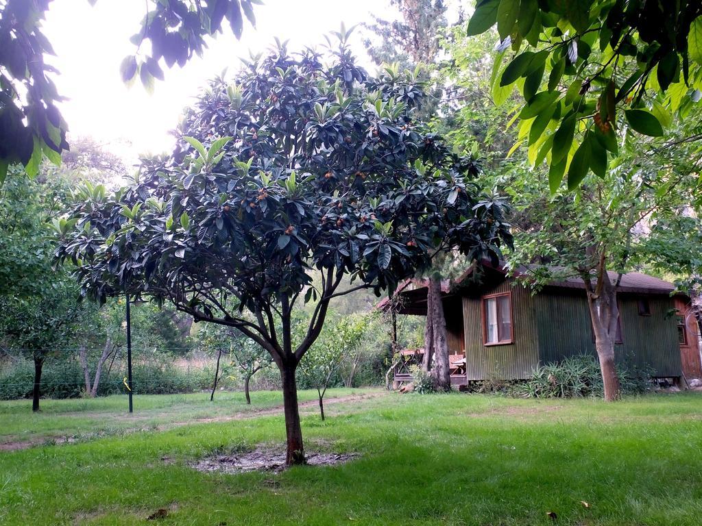 Kibala Hotel Чирали Екстер'єр фото