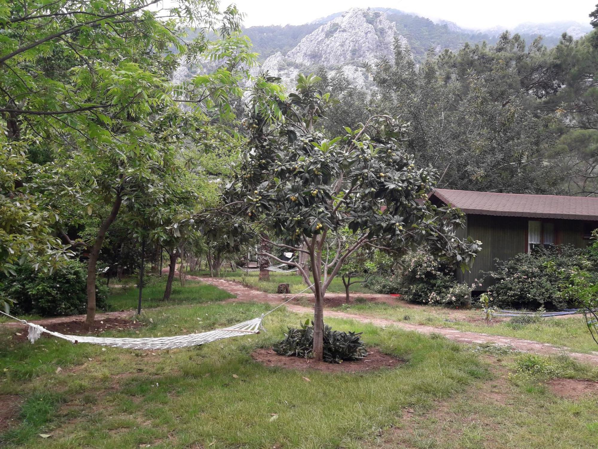 Kibala Hotel Чирали Екстер'єр фото
